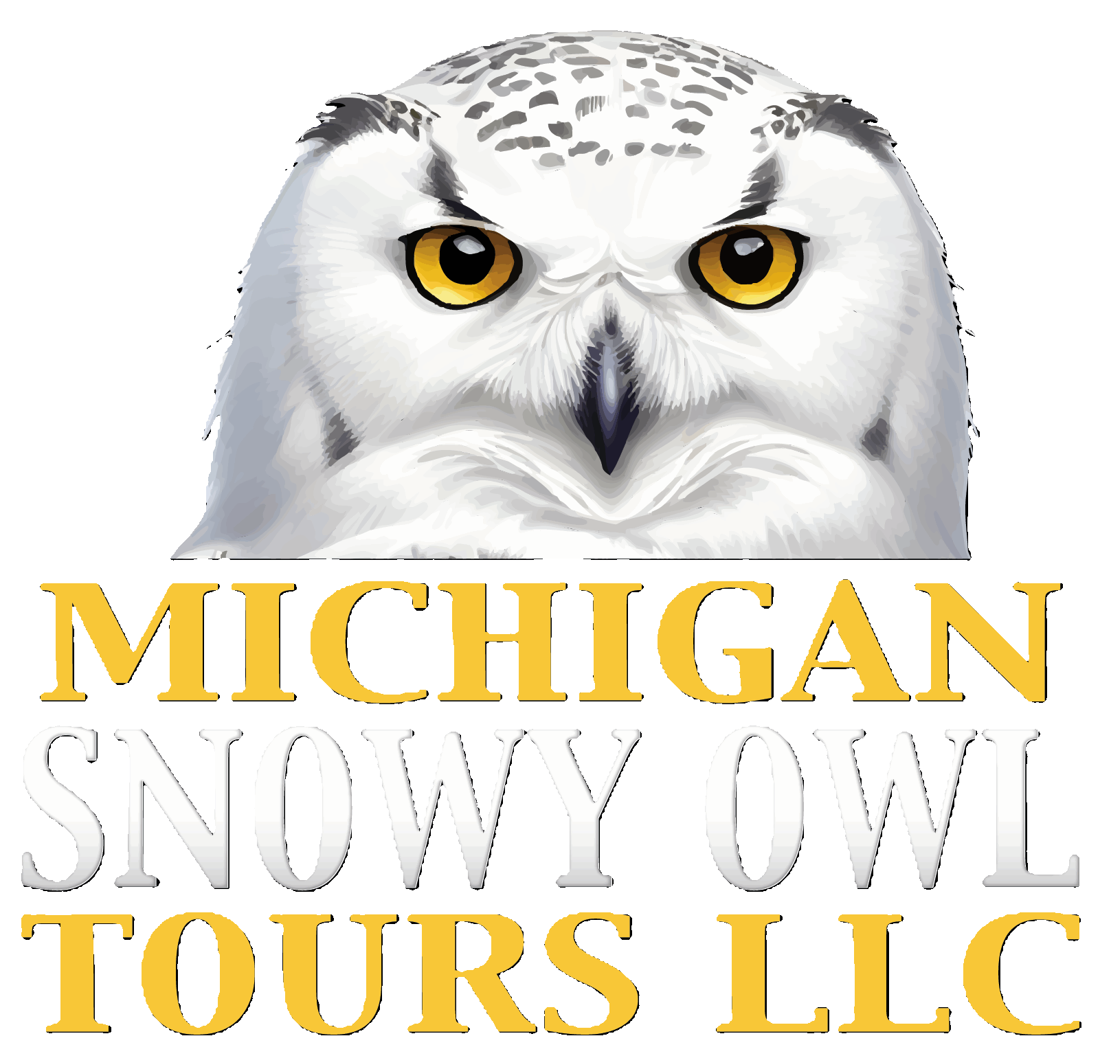 Michigan Snowy Owl Tours LLC
